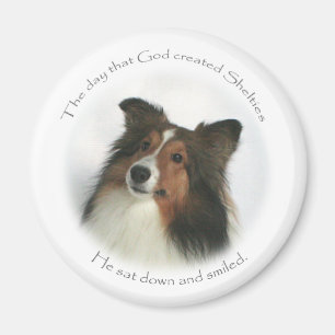 Íman O dia Shelties era ímã criado