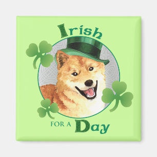 Íman O dia Shiba Inu de St Patrick