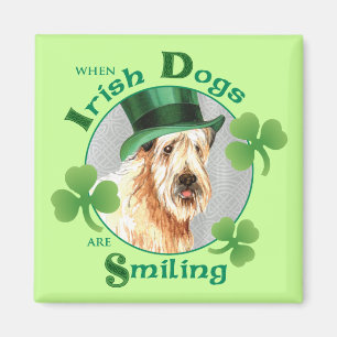 Íman O dia Terrier Wheaten de St Patrick