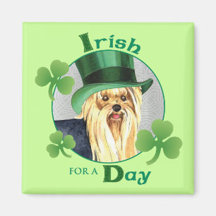 Íman O dia Yorkie de St Patrick