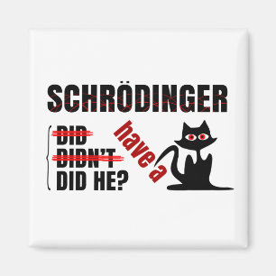 Íman O Dillema de Schrodinger