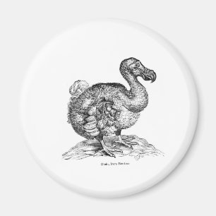 Íman O Dodo