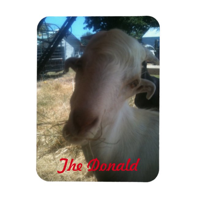 Íman O Donald (Vertical)