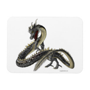 Íman O Dragão de Prata