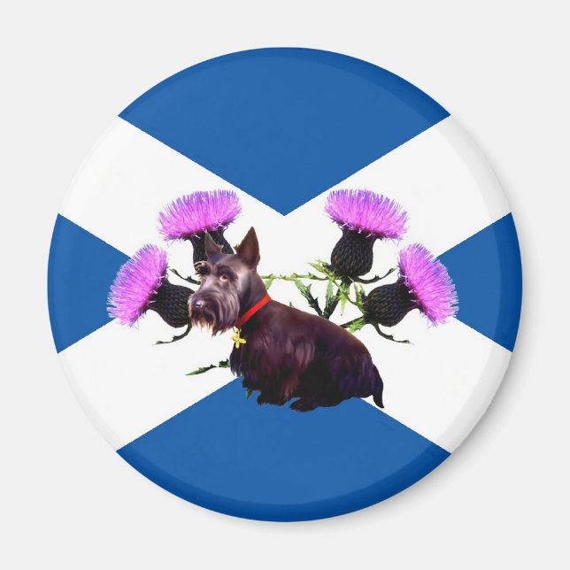 Íman O escocês Terrier, o thistle (Frente)