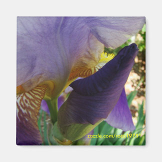 Íman O espaço entre