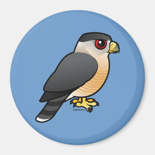 Íman O falcão do tanoeiro