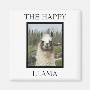 ÍMAN O FELIZ LLAMA MAGNET