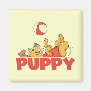 Íman O filhote de cachorro joga o camiseta e os present