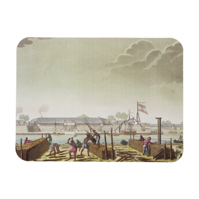 Íman O Forte em Batavia com Loggers Nativos, placa 50 (Horizontal)
