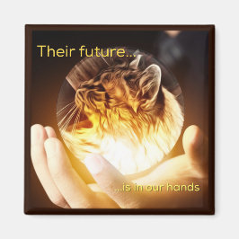 Íman O futuro dos gatos nas nossas mãos