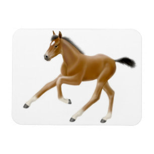 Íman O Futuro Magneto Premium da Baía de Campeão