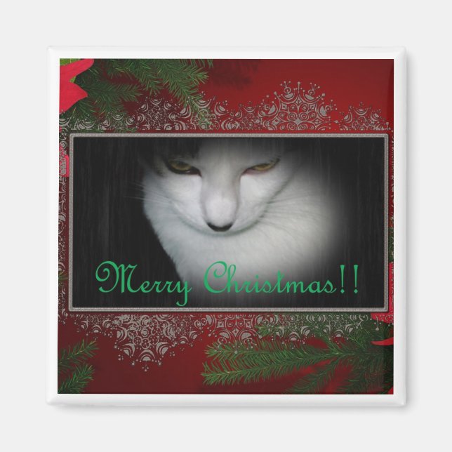 Íman O gatinho anuncia o Natal! (Frente)