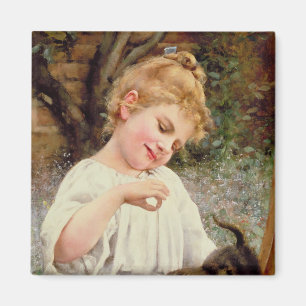 Íman O Gatinho Bravo