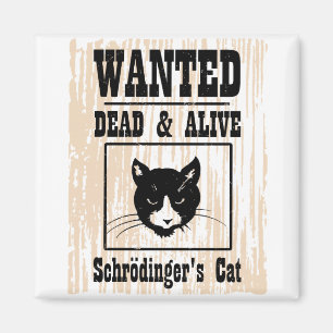 Íman O gato de Schrodinger querido