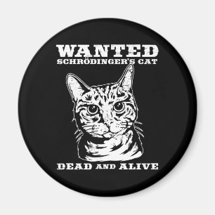 Íman O gato de Schrodinger quis inoperante ou vivo