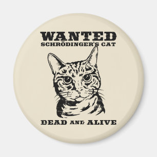 Íman O gato de Schrodinger quis inoperante ou vivo