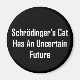 Íman O gato de Schrodinger tem um futuro incerto