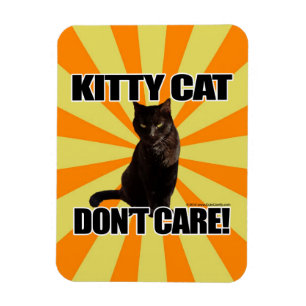 Íman O gato do gatinho não se importa
