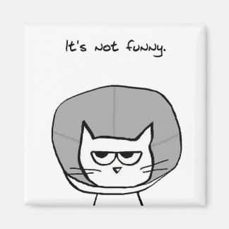 Íman O Gato e o Cone da Vergonha - Magneta de Gato Engr