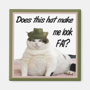 Íman O gato e o ímã do chapéu