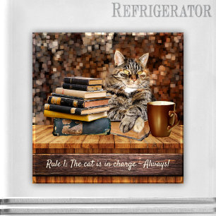 Íman O gato engraçado registra o ímã do café