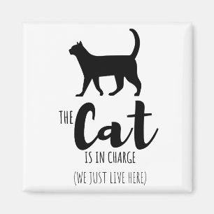 Íman O Gato Está No Comando (Nós Apenas Vivemos Aqui)