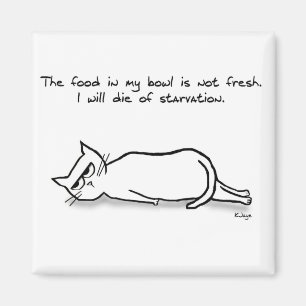 Íman O Gato Exige Comida Fresca - Magneta Gato Engraçad