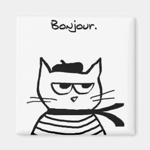 Íman O gato irritado é tão muito francês