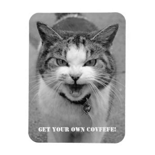 Íman O gato irritado "obtem seu próprio Covfefe!" ím