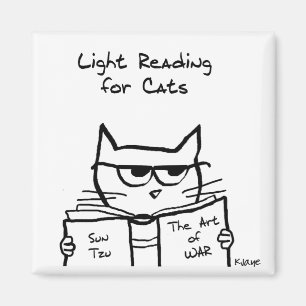 Íman O gato irritado traça a guerra - ímã engraçado