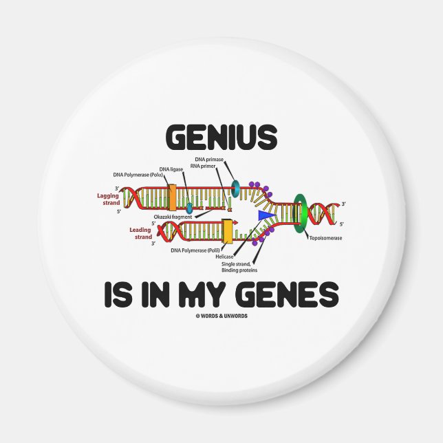 Íman O Genius Está Em Meus Genes (Replicação De DNA) (Frente)