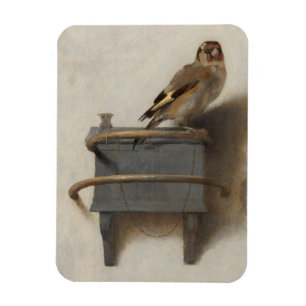 Íman O Goldfinch