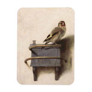Íman O Goldfinch