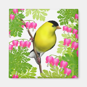 Íman O Goldfinch no coração de sangramento floresce o