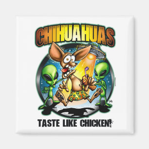 Íman O gosto das chihuahuas gosta do ímã da galinha