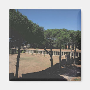 Íman O grande Palaestra