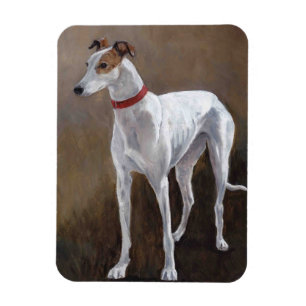 Íman O GUS do galgo persegue o ímã da arte