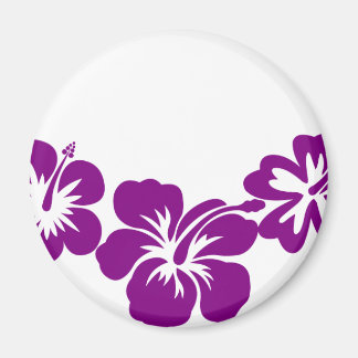 Íman O hibisco roxo é