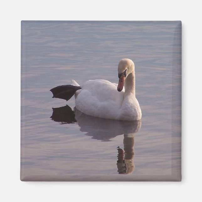 Íman O Hokey Pokey (Frente)