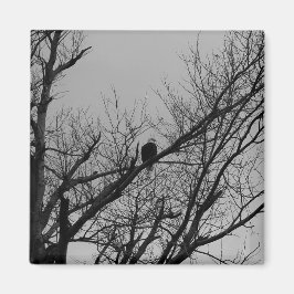 Íman O homem que toma o relógio