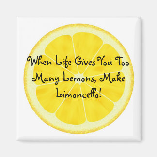 Íman O ímã Audrey