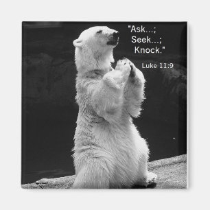 Íman o ímã com o urso polar que praying pede, procura