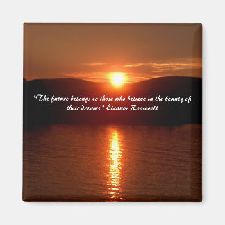 Íman O ímã da beleza dos seus sonhos