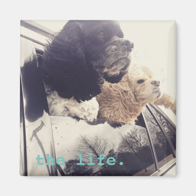 Íman o ímã da boa vida (Frente)