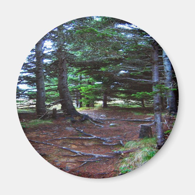 Íman O ímã da Escada da Natureza (Frente)