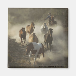 Íman O ímã da unidade