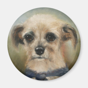 Íman O ímã desabrigado de Terrier