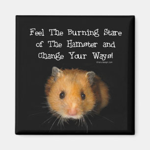 Íman O ímã do hamster