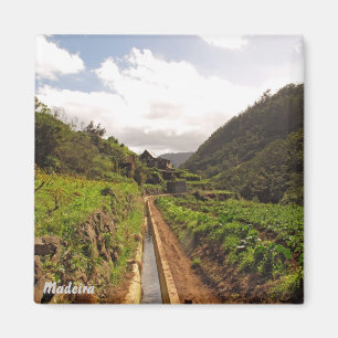 Íman O ímã Levada de Madeira faz Caniçal